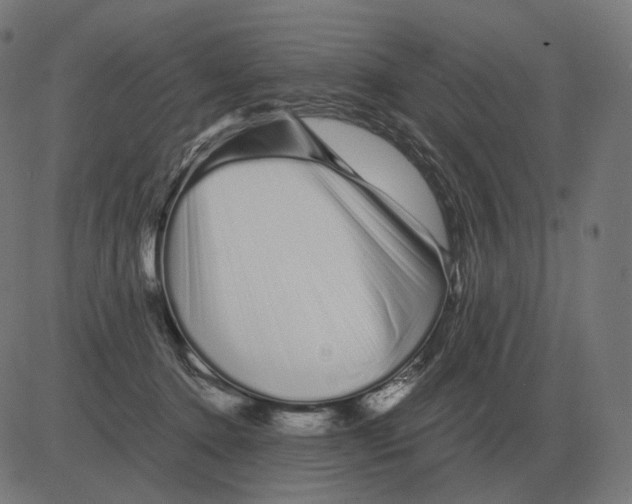 X0000081490368200702100036