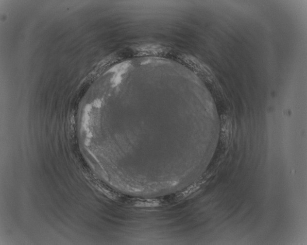 X0000081490369200702100036