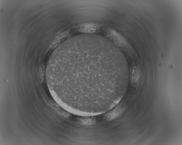 X0000081490370200702100036