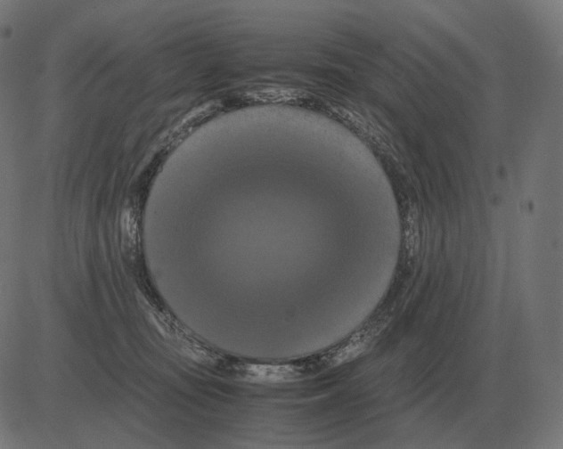 X0000081490371200702100036