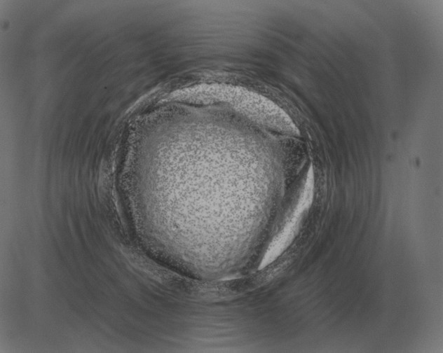 X0000081490372200702100036