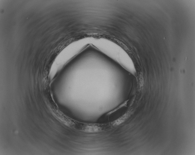 X0000081490376200702100036