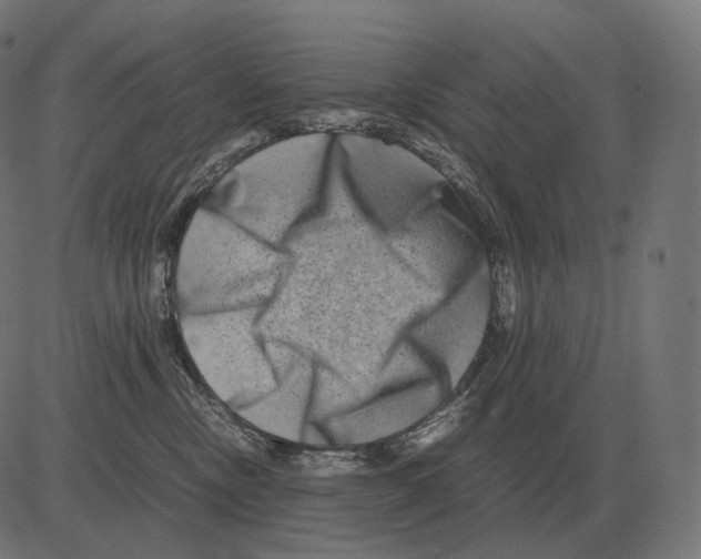 X0000081490378200702100036