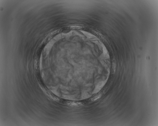 X0000081490379200702100036