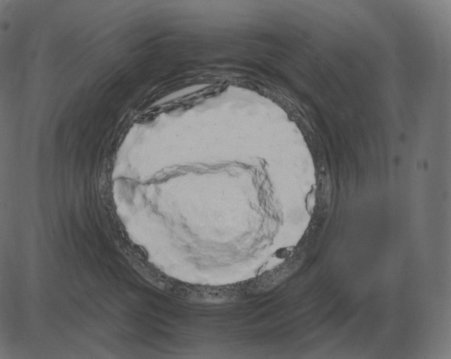 X0000081490381200702100036