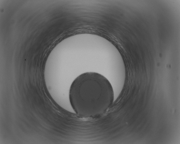 X0000081490382200702100036