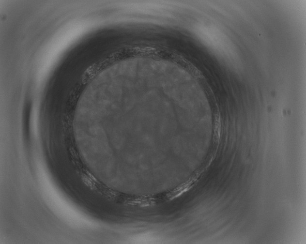 X0000081490383200702100036