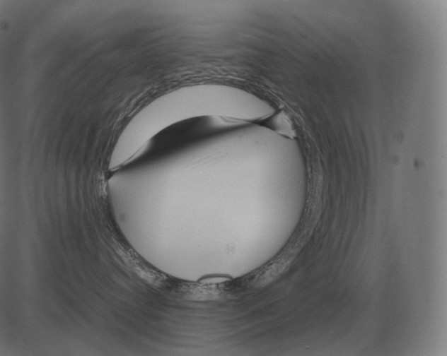 X0000081490384200702100036