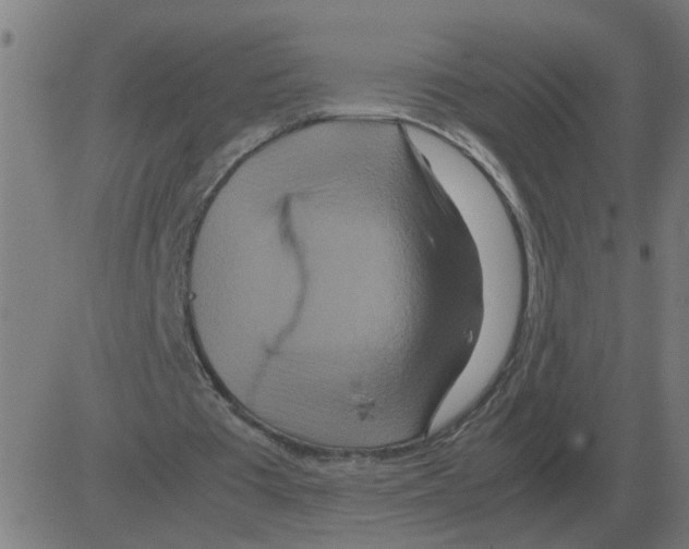 X0000081490385200702100035