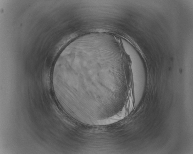 X0000081490386200702100035