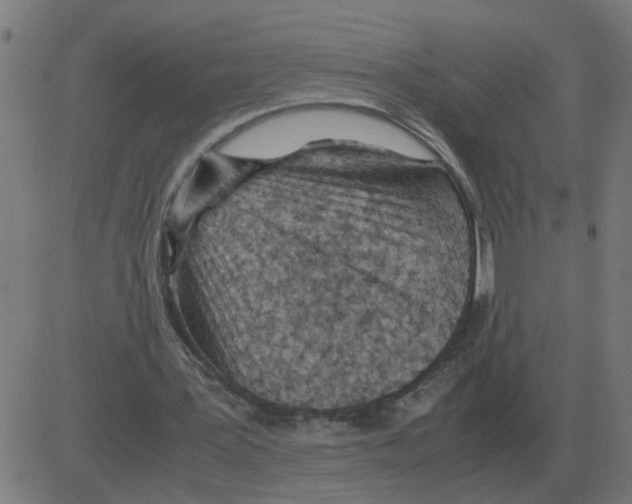 X0000081490387200702100035