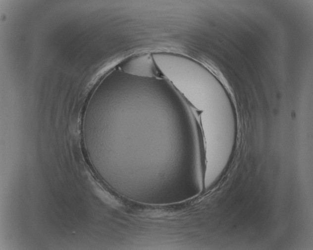 X0000081490389200702100035