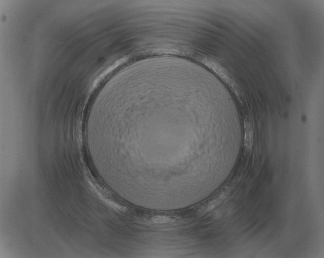 X0000081490390200702100035