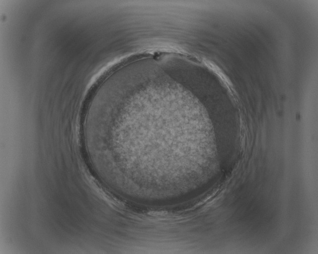 X0000081490391200702100035