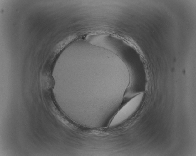 X0000081490393200702100035