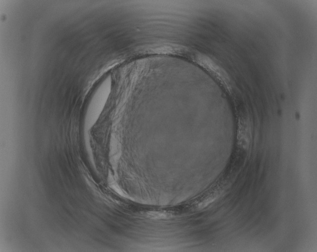 X0000081490394200702100035