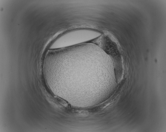 X0000081490395200702100035