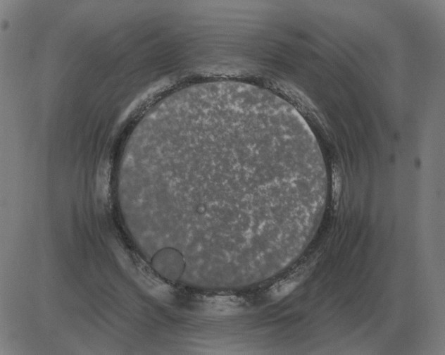 X0000081490396200702100035