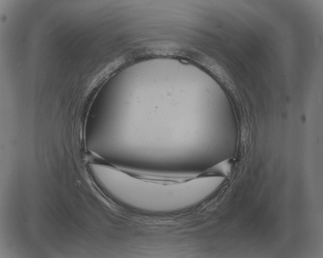 X0000081490397200702100035