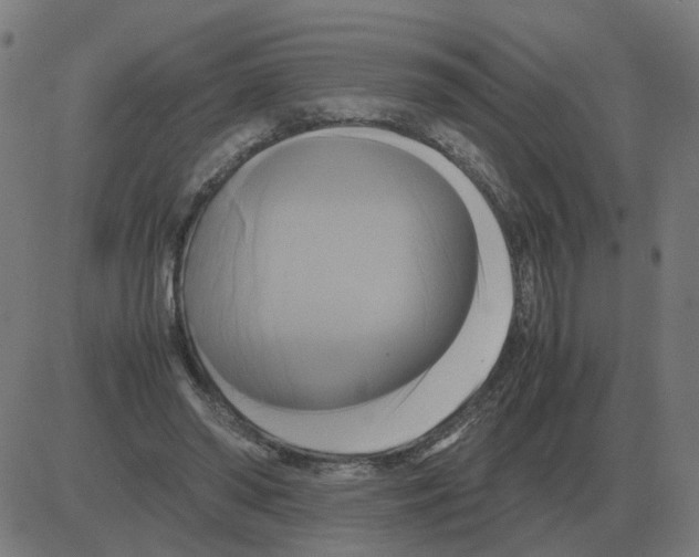 X0000081490398200702100035