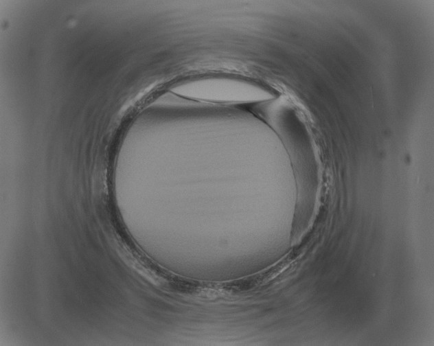 X0000081490399200702100035