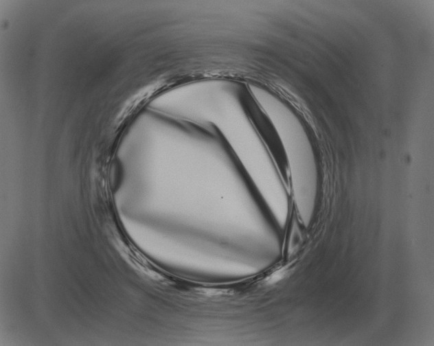 X0000081490401200702100035