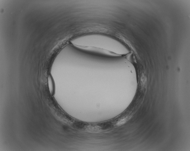 X0000081490403200702100035