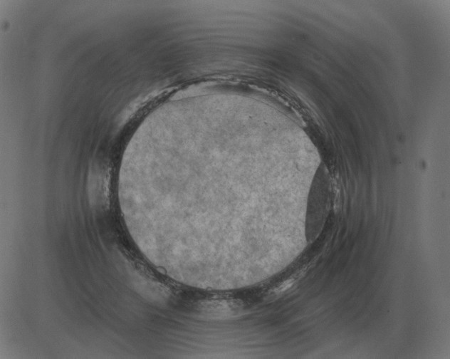 X0000081490404200702100035