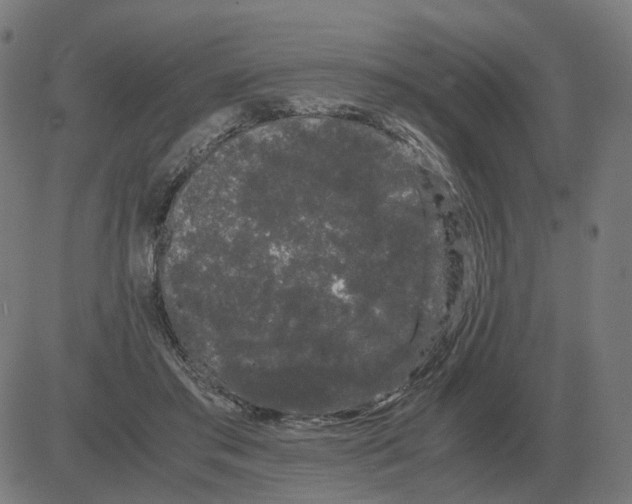 X0000081490405200702100035