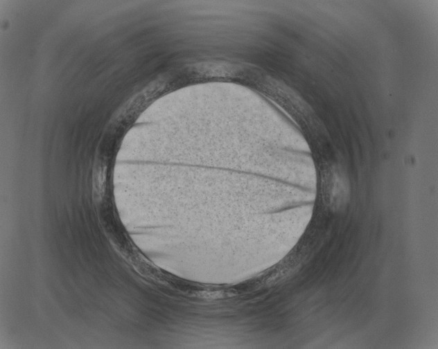 X0000081490406200702100035