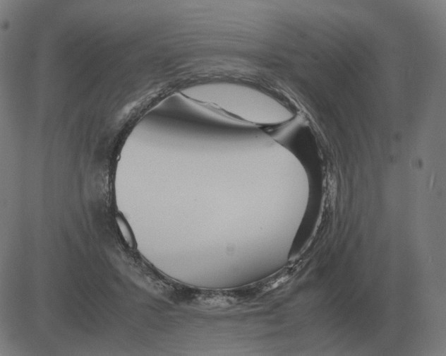 X0000081490407200702100035