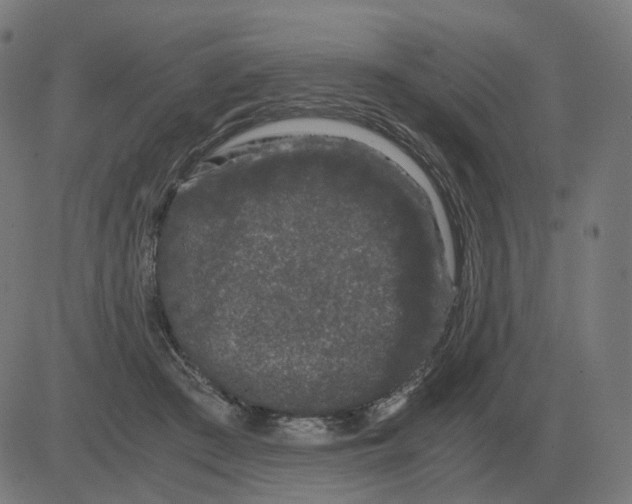 X0000081490409200702100035