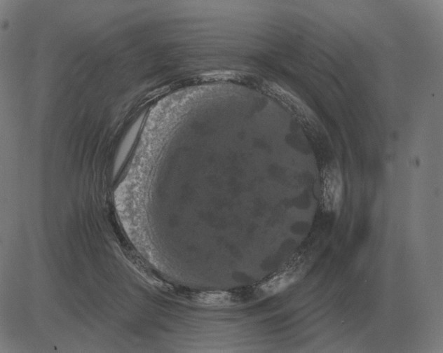 X0000081490410200702100035