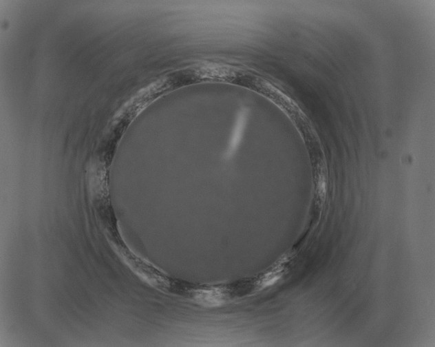 X0000081490411200702100035