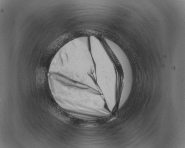 X0000081490412200702100035