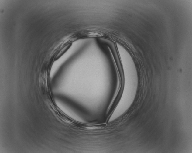 X0000081490413200702100035