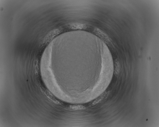 X0000081490414200702100035