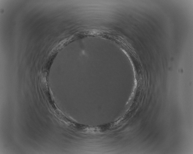 X0000081490415200702100035