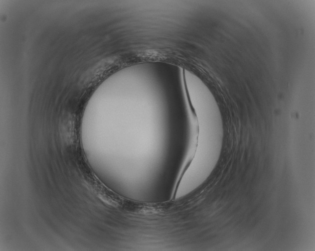 X0000081490416200702100035