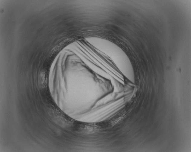 X0000081490420200702100035