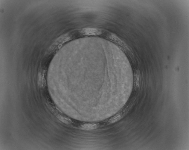 X0000081490422200702100035