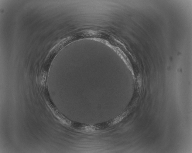 X0000081490423200702100035