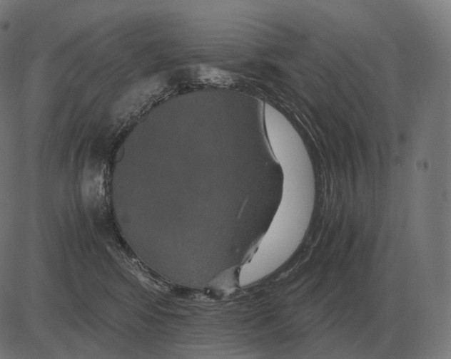 X0000081490424200702100035