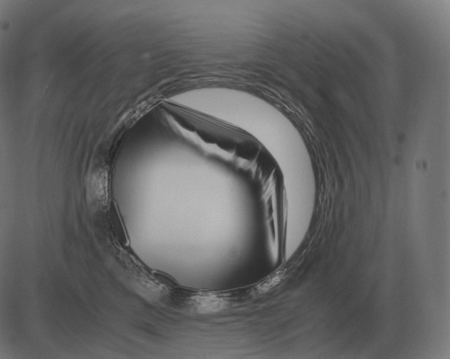 X0000081490425200702100035