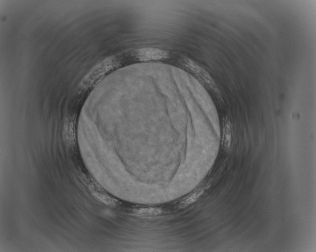 X0000081490426200702100035