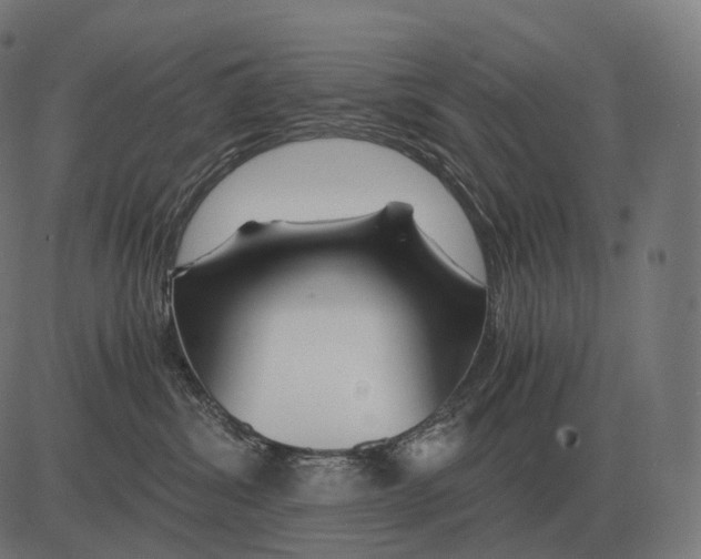 X0000081490428200702100035