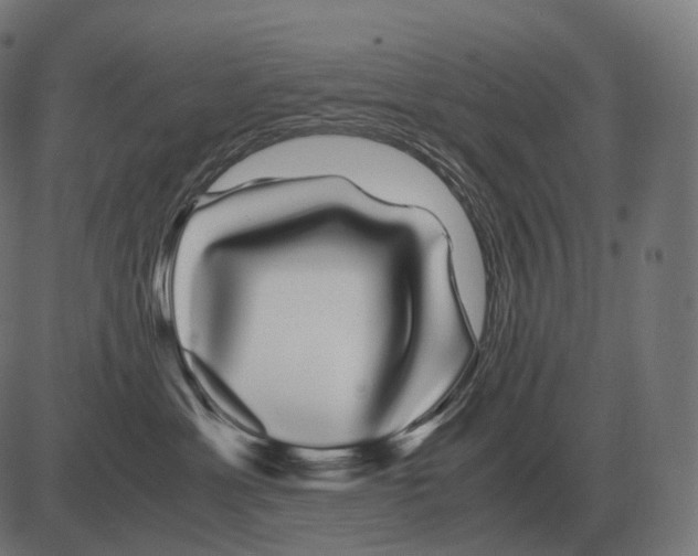 X0000081490429200702100035