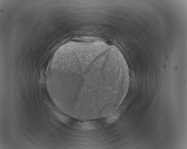 X0000081490430200702100035