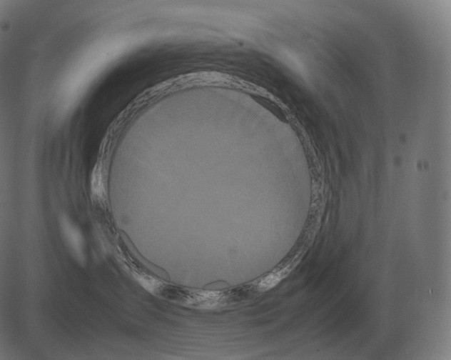 X0000081490431200702100035