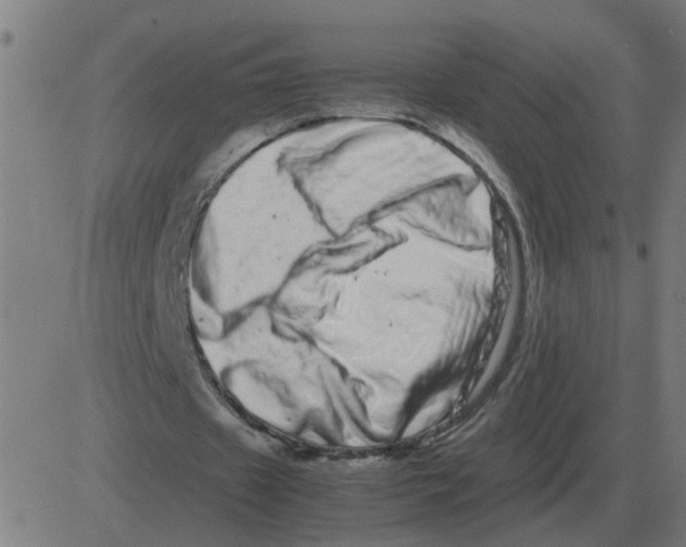 X0000081490433200702100034